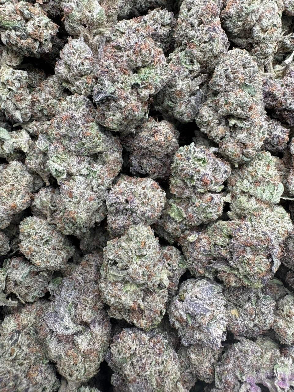 Gelato